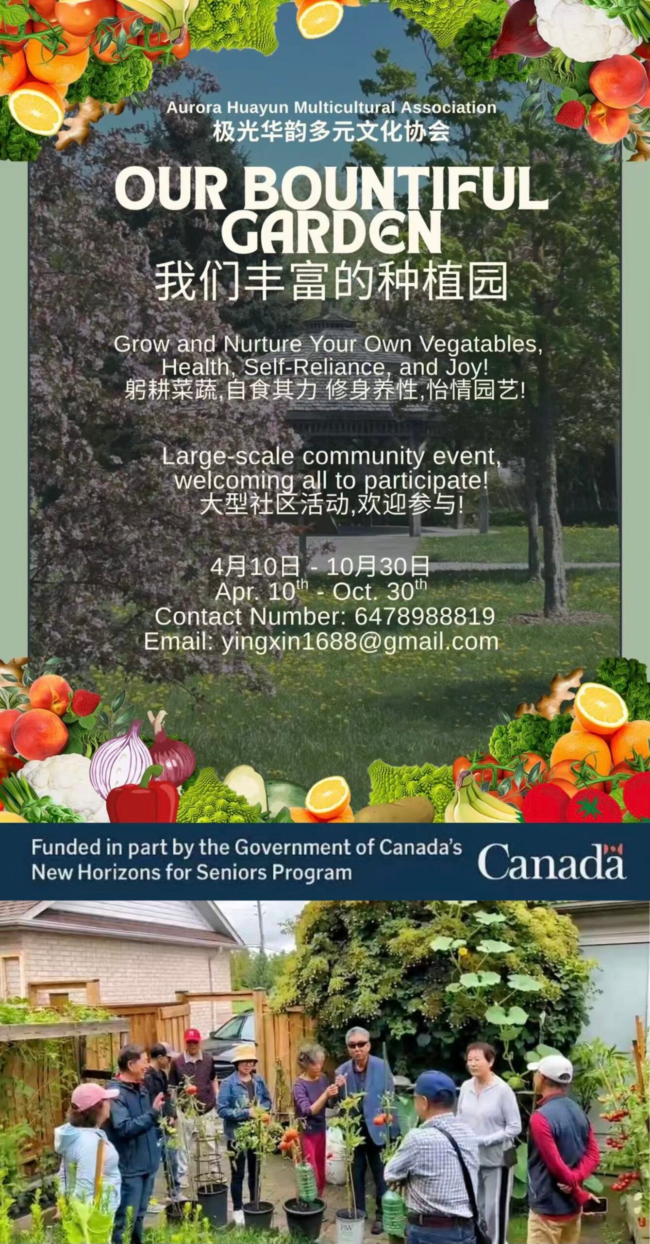 Home vegetable growing